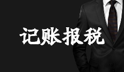 新成立的公司記賬報稅方面有哪些選擇？