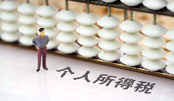 如何在網(wǎng)上打印個(gè)人所得稅納稅記錄？