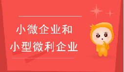 小微企業(yè)和小型微利企業(yè)有什么區(qū)別？
